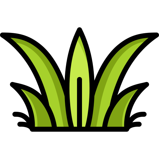 trawa
